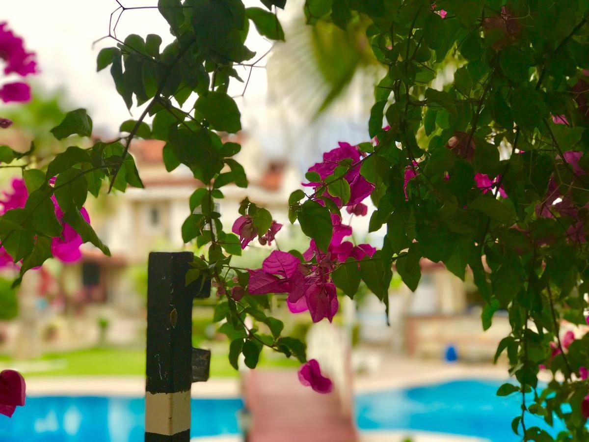 Lale Apartments Fethiye Bagian luar foto
